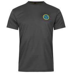 Quick Dry T-Shirt Flygvapnet - Gray